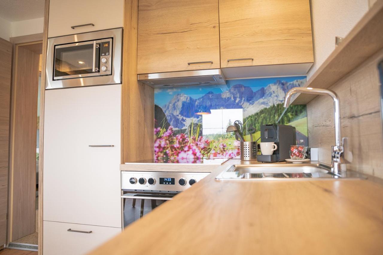 Appartement Haus Sonnleitner à Ramsau am Dachstein Extérieur photo