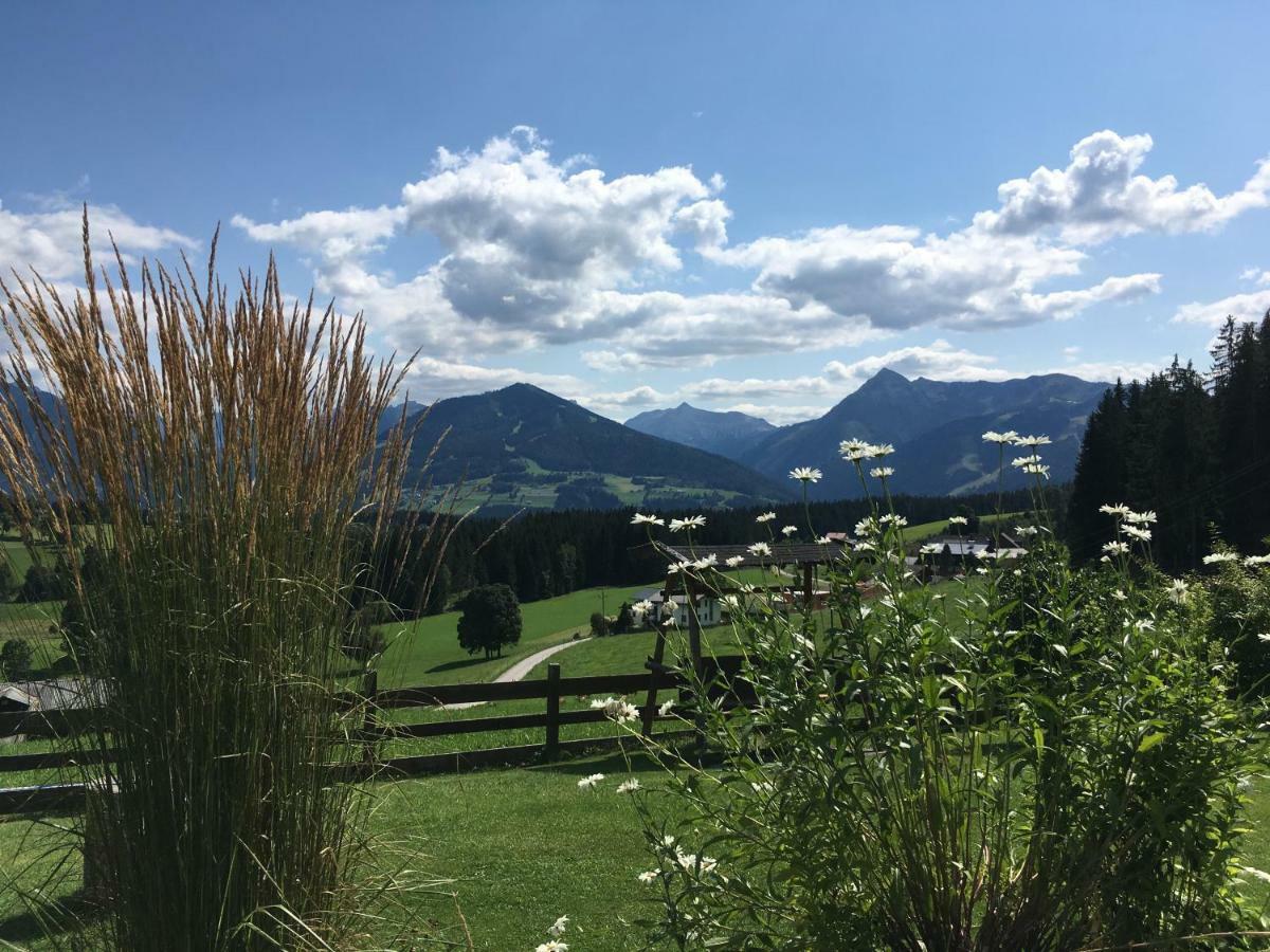 Appartement Haus Sonnleitner à Ramsau am Dachstein Extérieur photo